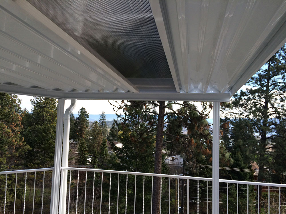 tinted patio cover skylight